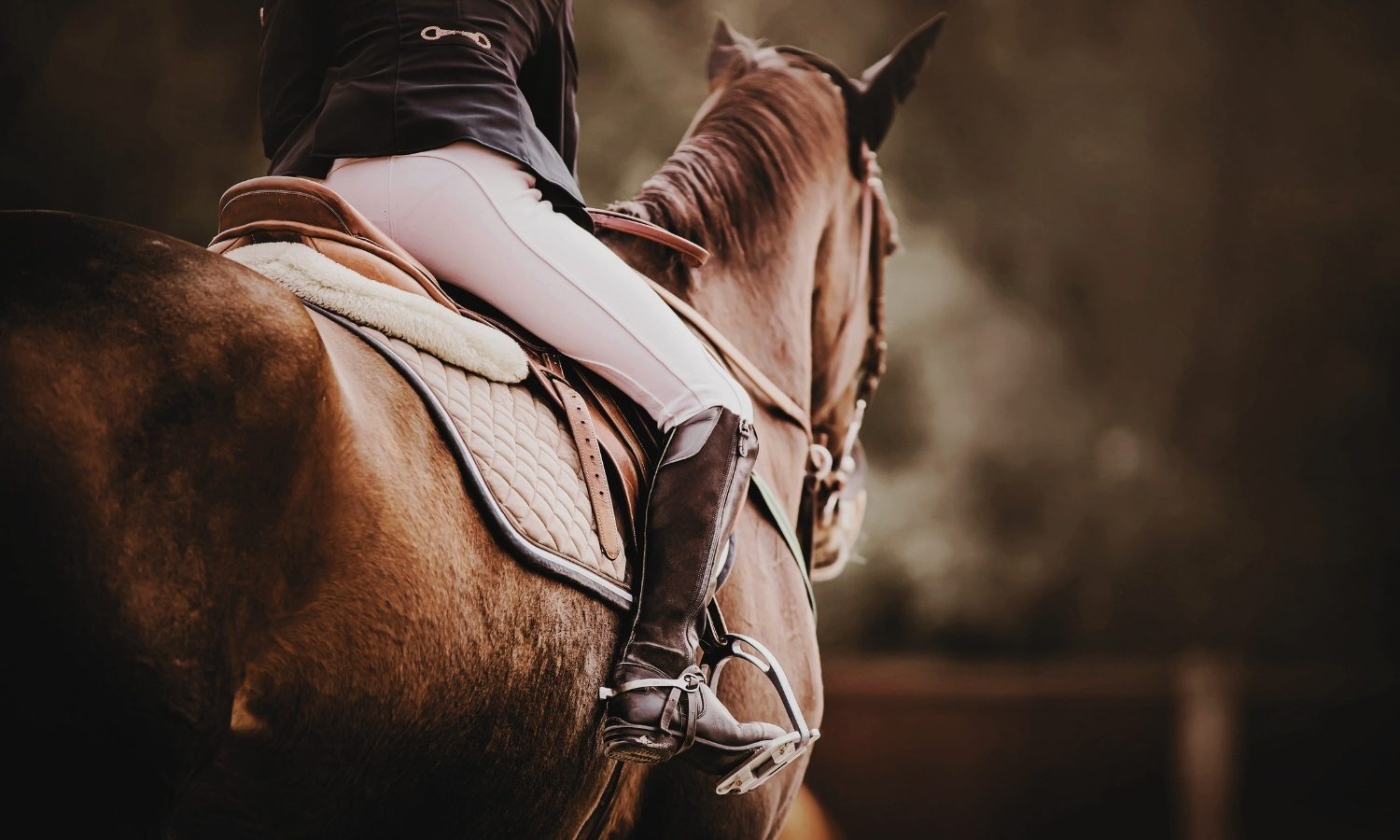 BigCommerce Design - Woman in equestrian apparel on horse